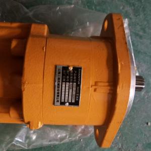 SD22 Transmissson Pump
